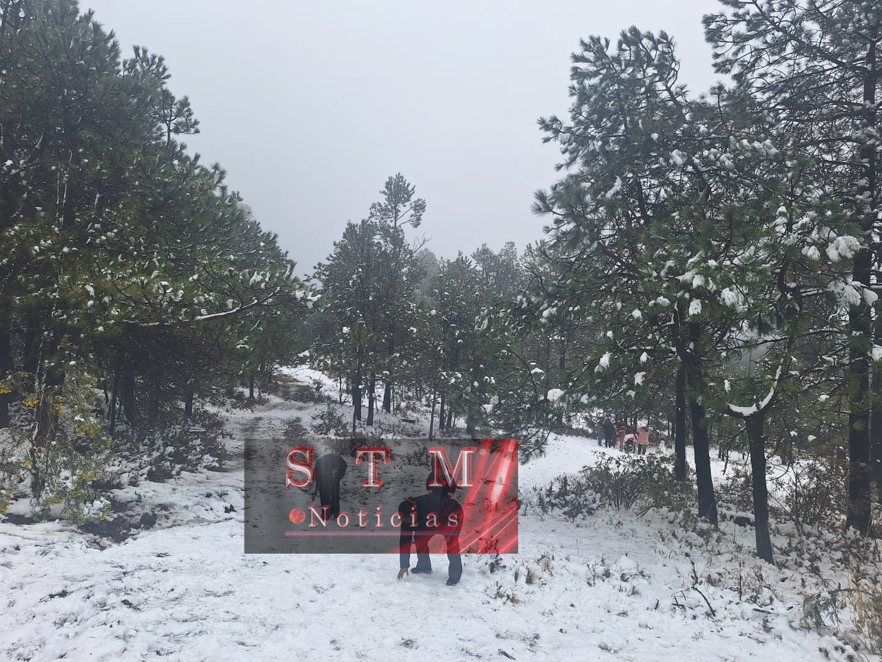 Se Pinta De Blanco El Cerro Del Ajusco Protecci N Civil Exhorta A La